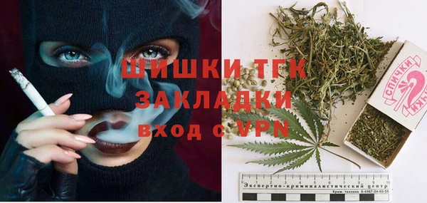 ПСИЛОЦИБИНОВЫЕ ГРИБЫ Менделеевск