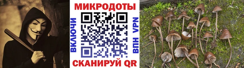 blacksprut маркетплейс  дарк нет официальный сайт  Псилоцибиновые грибы Cubensis  Черемхово 